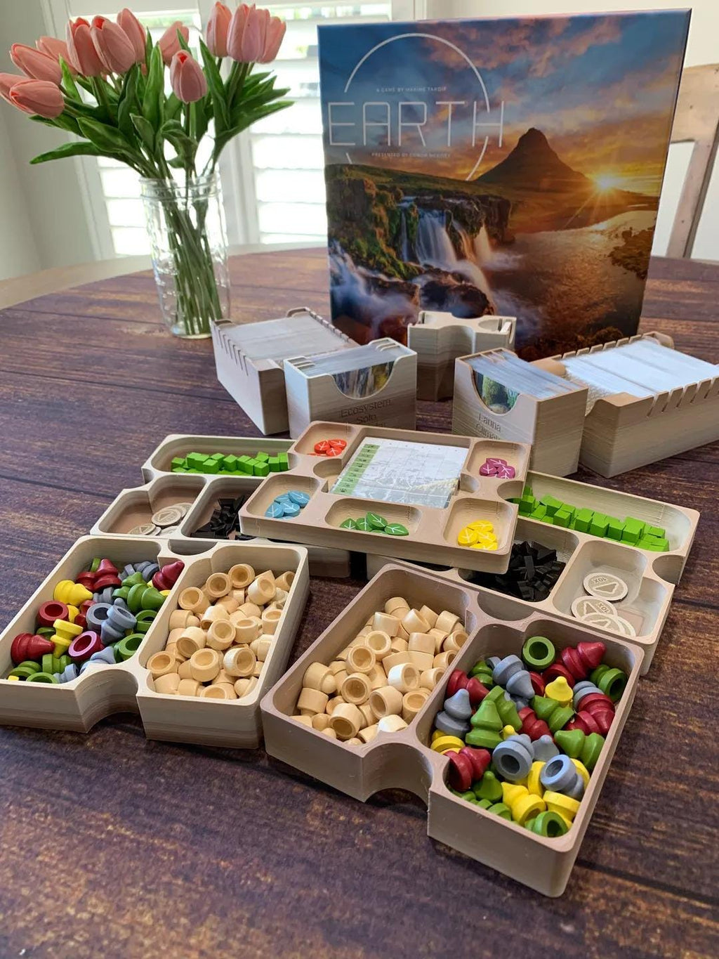 Organizer for Earth Board Game - Also Holds Kickstarter Extras