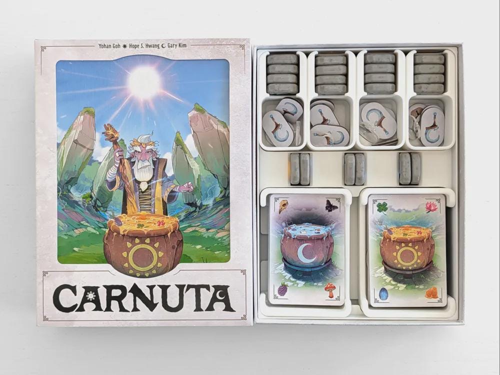 Carnuta - Organizer Insert