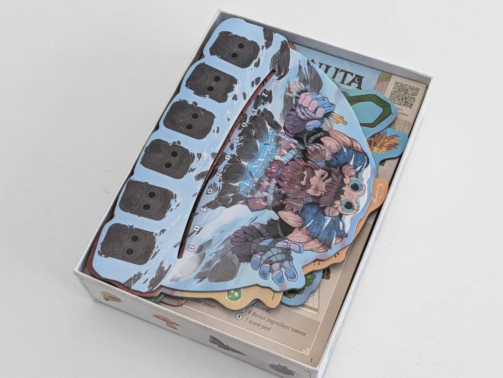 Carnuta - Organizer Insert