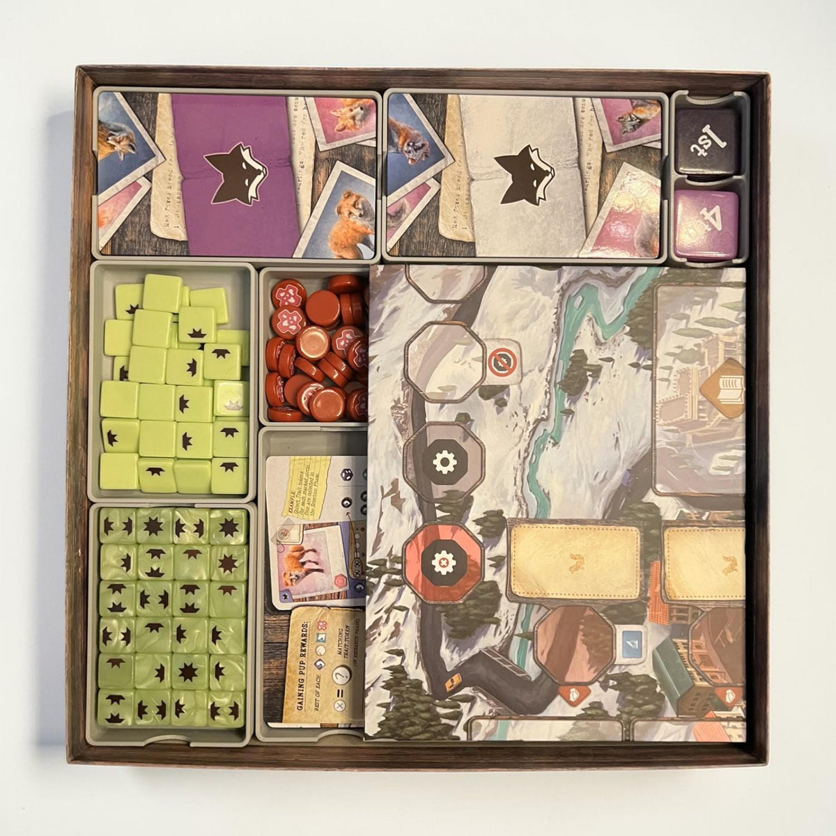 The Fox Experiment Organizer with Player Trays