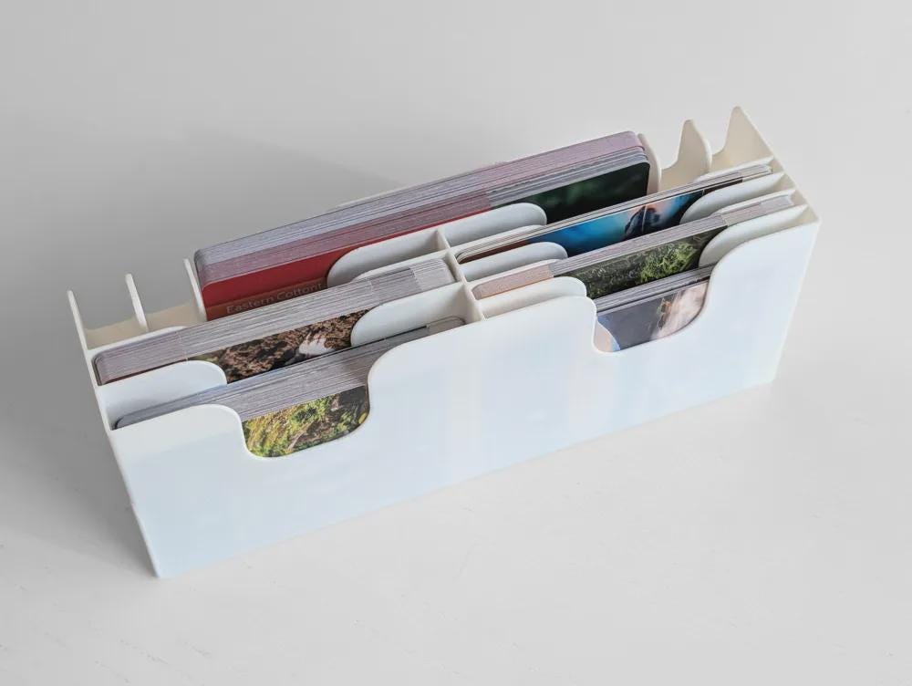Earth + Abundance and Animal Kingdom - Organizer Insert