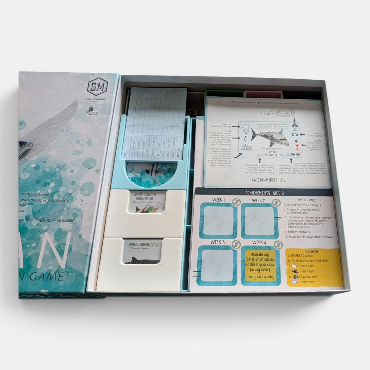 Finspan Organizer